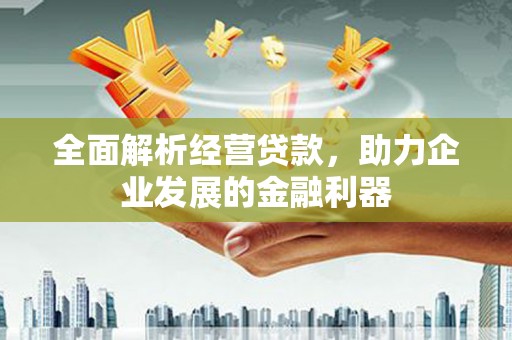 博爱全面解析经营贷款，助力企业发展的金融利器