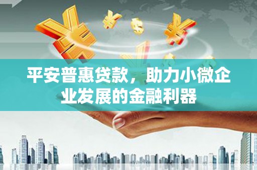 博爱平安普惠贷款，助力小微企业发展的金融利器