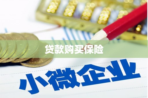 博爱贷款购买保险