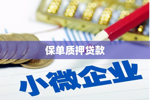 博爱保单质押贷款