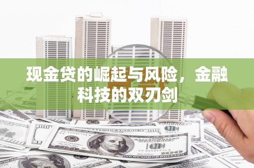 博爱现金贷的崛起与风险，金融科技的双刃剑