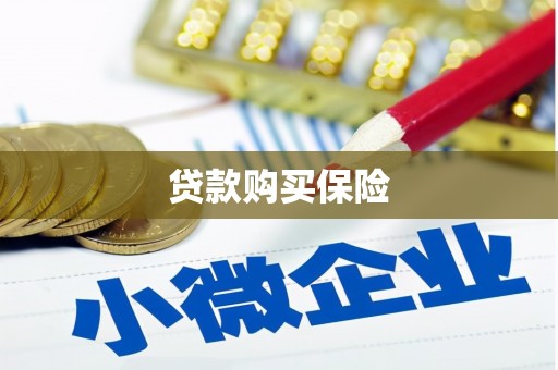 博爱贷款购买保险
