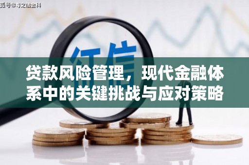 博爱贷款风险管理，现代金融体系中的关键挑战与应对策略