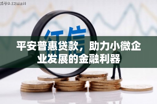 博爱平安普惠贷款，助力小微企业发展的金融利器