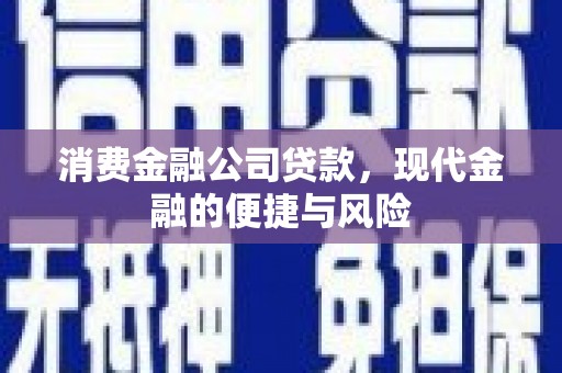 博爱消费金融公司贷款，现代金融的便捷与风险